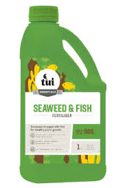 If you live in a coastal area, the best way to apply seaweed fertilzier is directly to the soil after simply collecting it from your local beach. Tui Seaweed Fish Fertiliser