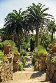 Tresco Abbey Gardens Scilly Isles Uk A Superb Sub Tropical Garden 7 Of 12 Tresco Abbey Gardens Gardens Of The World Tropical Garden