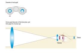 Image result for Pupil