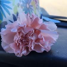 Check spelling or type a new query. Christian Brothers Automotive Amarillo 37 Reviews Auto Repair 5816 S Coulter St Amarillo Tx Phone Number