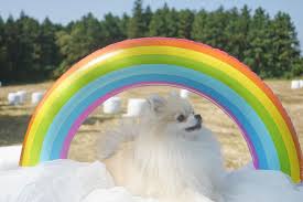 Kookeu Hashtag On Twitter Your #1 source for all news, pictures, videos and everything else related our little bunny. kookeu hashtag on twitter