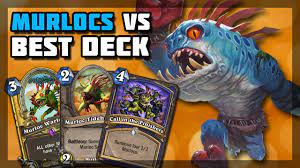 Check out our murloc paladin deck list guide to learn how to play this popular archetype. Hearthstone Murloc Vs Best Deck In Meta Youtube