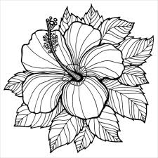 Hawaiian Flower Coloring Pages 116 Fine Coloring Role