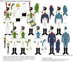 The Napoleonic Wargamer Regiment Joseph Napoleon Napoleon Regiment Century Uniforms