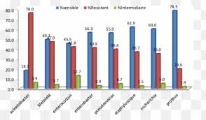 We did not find results for: Cartoon Running Away Stop Berjabat Tangan Kartun Png Free Transparent Png Image Pngaaa Com