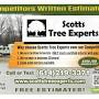 Scotts Tree Experts from m.yelp.com