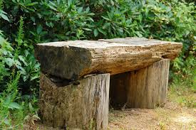 Tree Trunk Bench Watch Out For Splinters Joyce Flickr Rustic Outdoor Furniture Outdoor Trees Rustic Patio Furniture