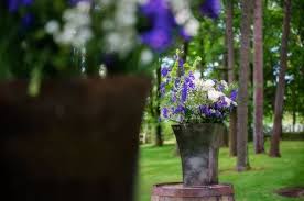 Welcome to your traverse city home depot, where we have the knowledge to help you with all your home improvement needs. Pin By Hoopers Farm Gardens On Hooper Prop Stock For Rent And Sale Farm Gardens Order Flowers Order Flowers Online