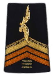 Le 1er régiment de chasseurs parachutistes (ou 1er rcp) est le plus ancien et le plus décoré des régiments parachutistes français. 1er Regiment De Chasseurs Parachutistes Wikiwand