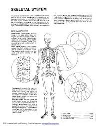 Each page of the current. Free Anatomy Coloring Pages Bones