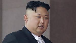 North Korea Otto Warmbier release: Brain damage cause unclear