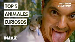 Frank se dejó llevar por la belleza de estas peligrosas especies