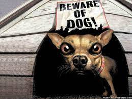 Http Themescompany Com Wp Content Uploads 2012 01 Beware Of Dog Funny Animal Wallpapers Jpg Funny Animals Funny Animal Pictures Funny Dog Pictures