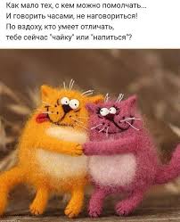 pin ot polzovatelya tatyana vladimirova na doske aforizmy citaty milye citaty smeshno yumornye citaty