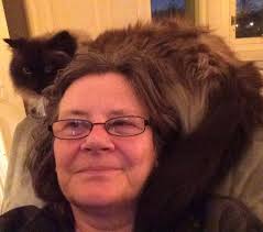 Snaggle, Fraggle and Waggle have joined us after their owner sadly passed  away and the owner's son kicked them out. Looking at Snaggle's wonky upper  jaw, we're concerned that he may quite