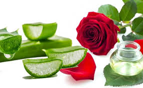 Gul Suyu Ve Aloe Vera Yuz Maskesi Aloe Yuzler Cil