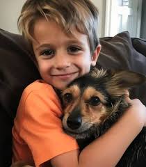 What to do if your son secretly brought home a rescue dog without your  consent?