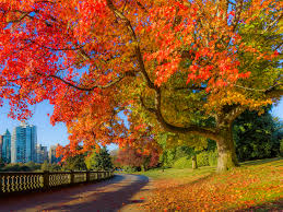 Canada Fall Foliage Reports