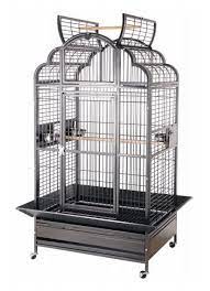 GRANDE CAGE POUR PERROQUET GRIS DU GABON, AMAZONE, CACATOES ''LAMBETH'' |  Large bird cages, Bird cages, Small bird cage