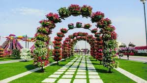 Where is the world's largest natural flower garden. Dubai Miracle Garden World S Largest Natural Flower Garden World Inside Pictures