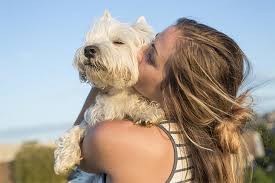 Maybe you would like to learn more about one of these? Grieving A Pet How To Cope With The Loss Of A Dog