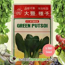 Jual bibit hidroponik terdekat peluang usaha menguntungkan. Jual Benih Sawi Daging Putsoi F1y 20g Biji Bibit Tanaman Sayuran Hidroponik Terbaru Lazada Indonesia