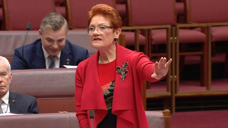 ‘A mob of idiots’: Hanson obliterates Labor’s net zero spending obsession