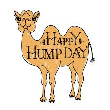 Happy Hump Day! | Today's hand lettering and illustration fo… | Flickr