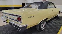 Image result for Crocus Yellow 1965 Chevelle