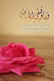 صور اسلامية ايات دينية صور قرانية plants rose flowers