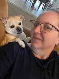 Lost female chihuahua terrier mix in Anahola