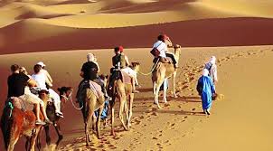 2:00 nat geo wild рекомендовано вам. Exploring The Dubai Desert On A Camel Dubai Explorer
