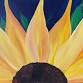 Sunflower! Ages 7+