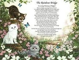 I'll meet you in the light. The Rainbow Bridge Pet Memorial Poem Gift For Loss Of Your Beloved Cat Kittens Ebay