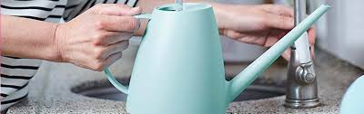 I had a really hard time deciding between this painted metal version and the copper one. Best Watering Cans And Roses November 2020 Updated Review Shetland S Garden Tool Box