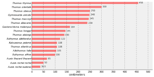 What is the size limit for tuna? Tuna Wikipedia