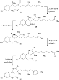Image result for Ethulia vernonioides