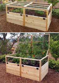 Maybe you would like to learn more about one of these? Deer Proof Gardens Gardens To Gro