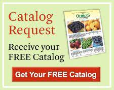 America S Most Complete Seed And Nursery Company Since 1866 Black Walnut Tree Seeds Plant Catalogs