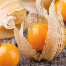 Organic fruit trees & bushes. Golden Berry 25 Seeds Physalis Peruviana Rare Etsy Physalis Berries Seeds