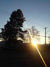 Banco De Imagens Arvore Ceu Dom Por Do Sol Luz Solar Raio Manha Crepusculo Tarde Reflexao Iluminacao Publica Flare Luminaria Linda Luz Forma Surrey Planta Lenhosa 2448x3264 463627 Imagens Gratuitas Pxhere