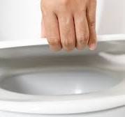 Why you should put the toilet lid down when flushing ...