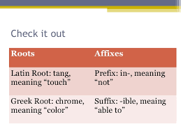 Roots And Affixes