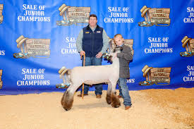 Southern AgCredit Supports Record-Breaking Dixie National Sale