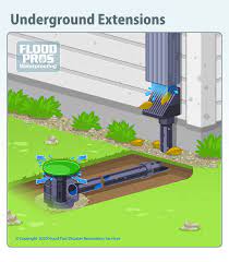 Mold remediation and mold damage Waterproofing Basement Waterproofing Rockford Il