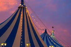 Carnival: Customer & Community Appreciation Event...