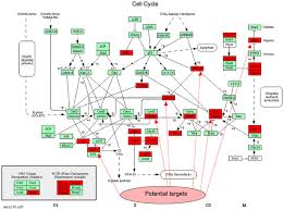 07.08.2009 · background malignant pleural mesothelioma is considered an almost incurable tumour with increasing incidence worldwide. Genome Wide Profile Of Pleural Mesothelioma Versus Parietal And Visceral Pleura The Emerging Gene Portrait Of The Mesothelioma Phenotype