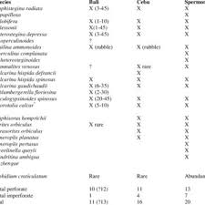 We did not find results for: Pdf Marine Biogeography Of Lombok Strait Bali 2001 Preliminary Expedition Report