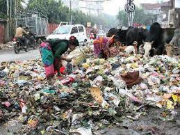 Garbage disposal unit trituradora de basura. Wet Spell Washes Out Lmc Clean Lucknow Claims Lucknow News Times Of India