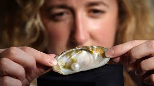 Abernethy Pearl expected to fetch up to £60,000 at auction